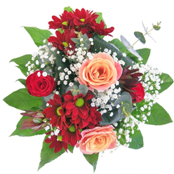 This bouquet, thoughtfully arranged by a Dollis Hill floral expert, embodies artistry in its blend of fiery reds and serene peach, presented vividly against a pristine white background. At the center, peach roses with softly furled petals and the subtlest blush welcome admiration, while deep red and burgundy chrysanthemums, punctuated by lively lime-green centers, bring a bold, joyful energy reminiscent of spring mornings in Gladstone Park. A petite red rose bud nestles among the larger blooms, weaving in an accent of classic romance. Wisps of baby's breath lend a softness, floating among the flowers like delicate morning mist across Dollis Hill's tree-lined avenues. The bouquet's balanced, circular form is highlighted by glossy broad leaves and elegant stems of eucalyptus, their muted silvery-green tone lending a dash of contemporary charm-much like the area's blend of tradition and modernity. A spiky, exotic burgundy Protea punctuates the mix, offering tactile intrigue. Crafted for birthdays, milestone events, or simply to brighten a local home, this bouquet carries the gentle scent of roses and green foliage, each element thoughtfully chosen by a florist with years of North West London expertise, and available for same-day delivery throughout Dollis Hill.